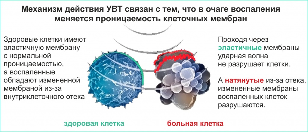 увт1 (2).jpg увт1 (2).jpg