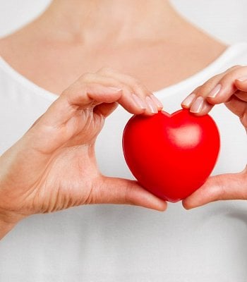 Сердечно-сосудистая система