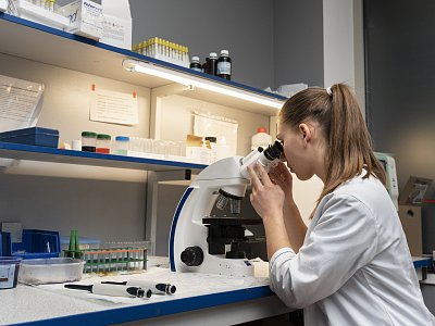Лабараторные исследования