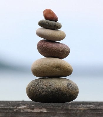 Нервная система