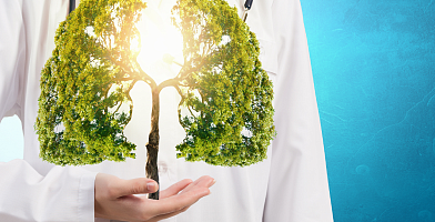 Здоровые легкие