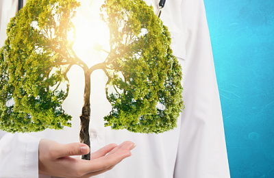 Здоровые легкие