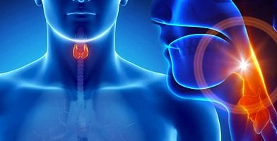 Оздоровление эндокринной системы