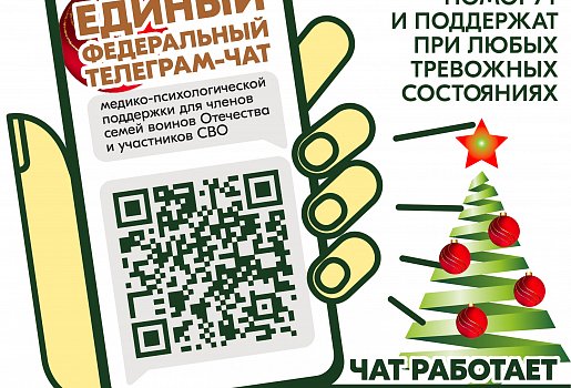 Чат помогает в дистанционном формате