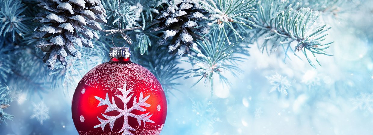 С наступающим НОВЫМ ГОДОМ!